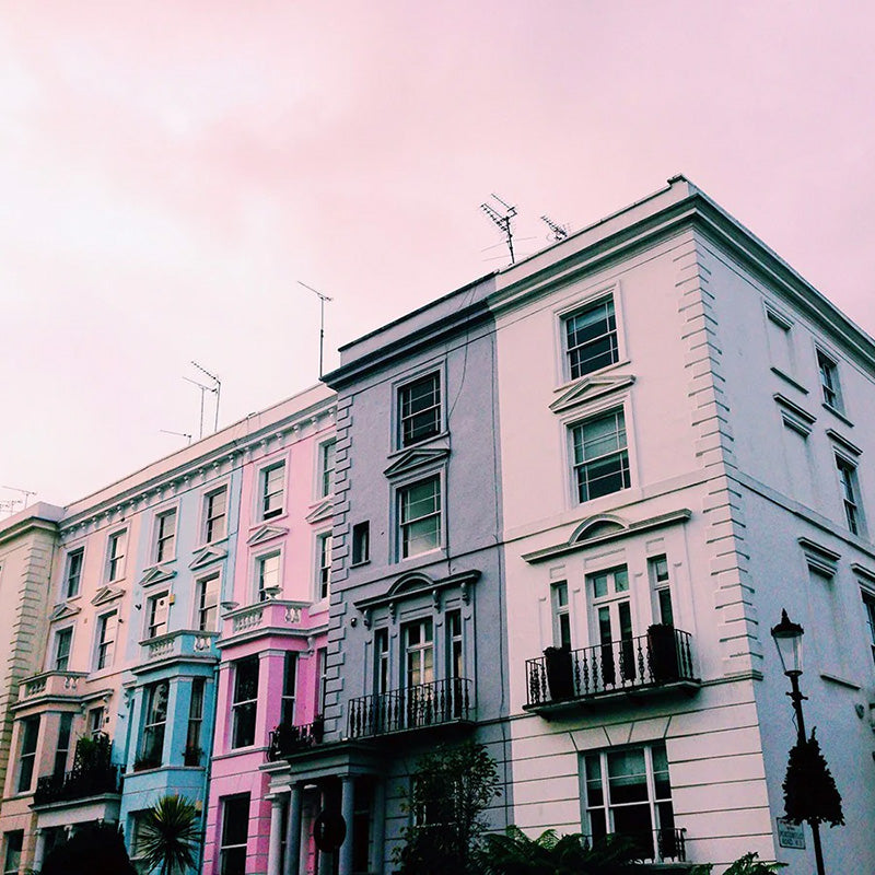 NOTTING HILL BIO AREAS