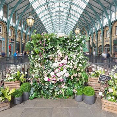 Little Miss Covent Garden